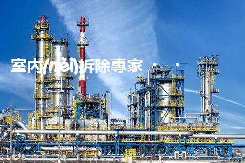 室內(nèi)拆除專家，打造安全高效空間重塑